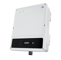 GoodWe inverter dns